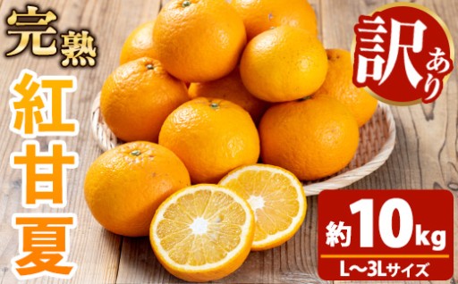 大人な柑橘！スイート＆ビター！完熟紅甘夏 