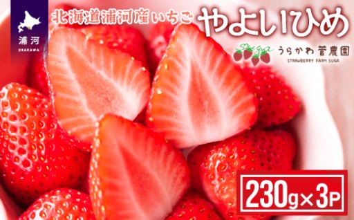 【今が旬！】北海道浦河産いちご「やよいひめ」☆