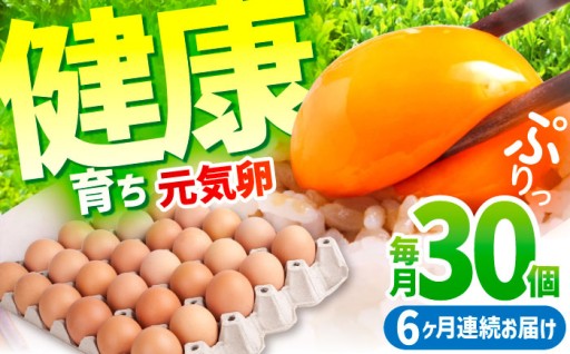 【6ヶ月定期便】元気卵 180個（30個×6回）