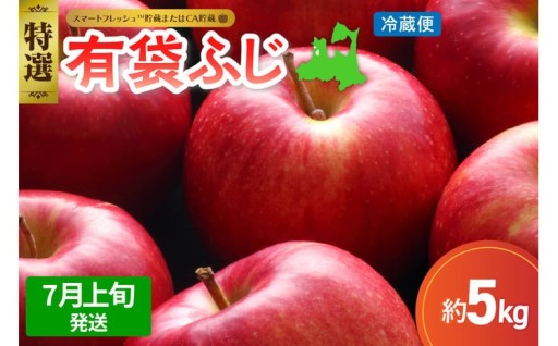 【2026年7月上旬発送】りんご有袋ふじ5kg特選(スマートフレッシュTM貯蔵またはCA貯蔵・クール便)