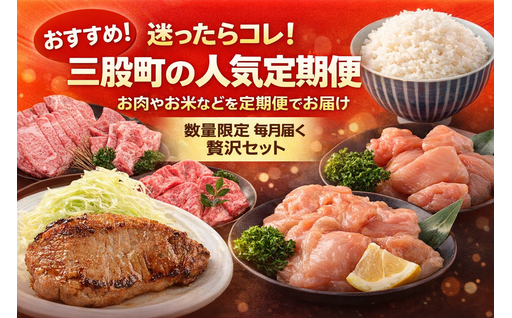 1回の寄附で複数回お届け！三股町の定期便特集