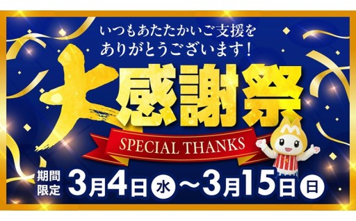 ＼人気返礼品大集合／🎊大感謝祭🎊