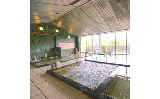 温泉満喫！ホテル神の湯温泉　洋室素泊り宿泊券