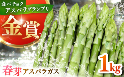 【生でも美味しい！】春芽アスパラ1kg
