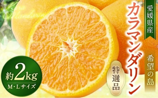 【希望の島】 完熟春みかん （カラマンダリン） 特選品 中玉 2kg
