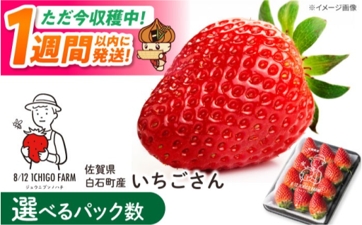 【スピード発送】鮮度抜群！完熟いちごさん