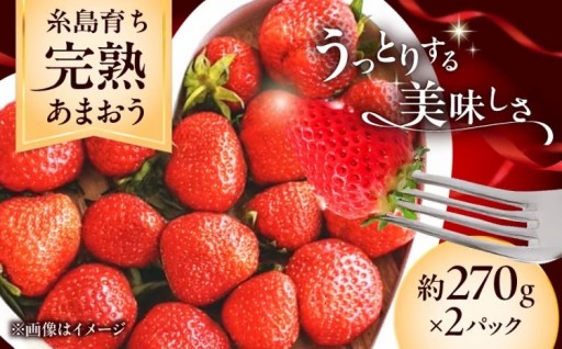 福岡の王様「あまおう」を糸島からお届け