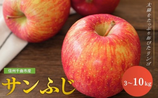 りんご サンふじ 約 3kg / 5kg / 10kg