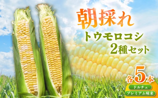 🌽朝採れ！とうもろこし2種セット🌽「プレミアム味来＆ドルチェ」各5本