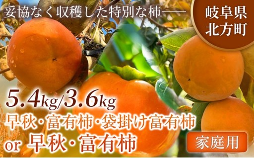 【回数選べる定期便】旬柿 リレー便 家庭用 早秋 富有柿 ( 各7個 / 1.8kg )