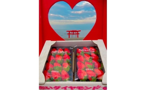 太良町産「かおりの」ソフトパック2P