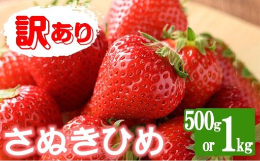 ＜2026年3月下旬以降順次発送予定＞＜訳あり＞＜選べる容量＞香川県産 さぬきひめいちご(約500g・約1kg)