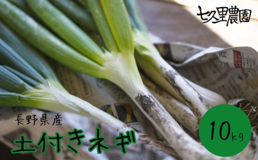 土付きネギ 約10kg【2026年10月～発送】