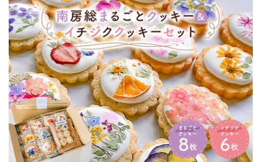 南房総まるごとクッキー8枚・イチジククッキー6枚