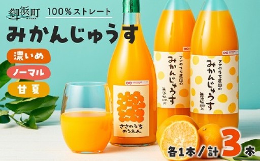 【おもてなしにピッタリ😆✨】ささのうち農園の みかんじゅうす 3本セット🍊🧋