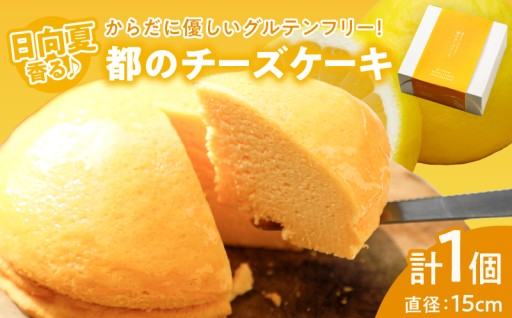 【宮崎県都農町】農の都で生まれた「都のチーズケーキ」計1個🧀🍰