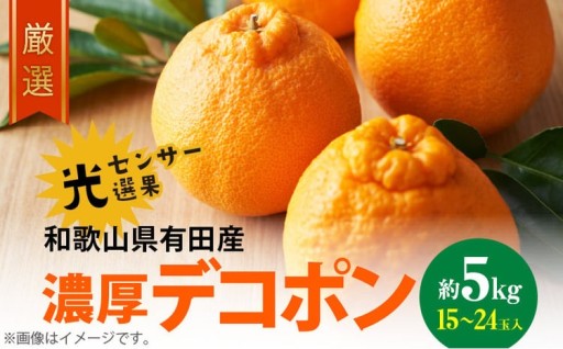 濃厚な甘みとほどよい酸味が魅力の大人気柑橘「デコポン」