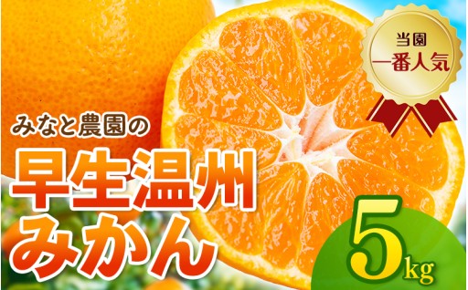 愛情を込めて育てた、みなと農園の「早生温州みかん」