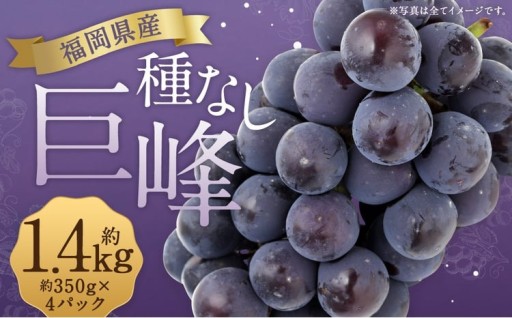 数量限定 種なし 巨峰 約350g×4パック 計約1.4kg