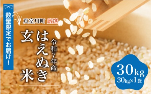 ＜令和7年産 はえぬき＞【玄米】 30kg　★数量限定★　真室川町