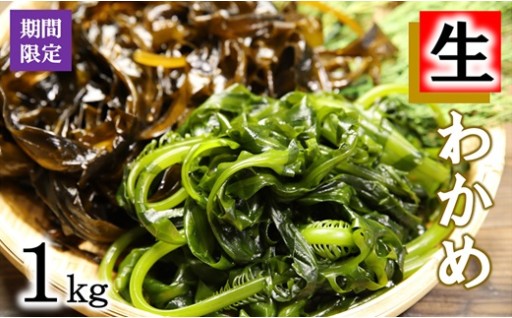 【期間限定】 北三陸産 早どりワカメ 1kg