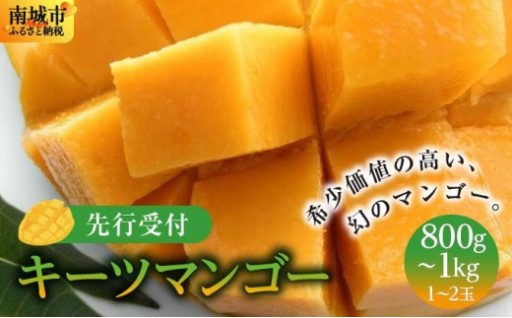 貴重な幻のマンゴー『キーツマンゴー』！