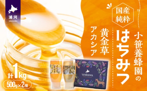 はちみつで美味しく健康に☆