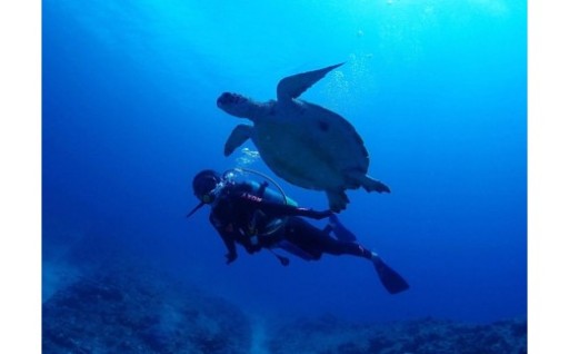 体験ダイビング（２ボートダイブ）マールプロモーション（MA01）