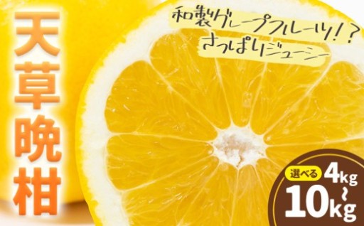ジューシーな果汁！「和製グレープフルーツ」天草晩柑（5kg〜10kg）
