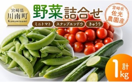 宮崎県佐光農園産　野菜詰め合わせ計1kg
