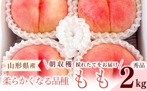 🍑太陽の光をたっぷり浴びて育った山形の桃🍑