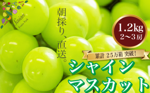 【大人気返礼品】シャインマスカット 1.2kg（2～3房）