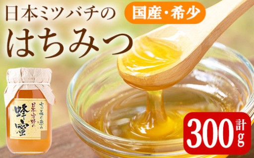 七ツ森の恵 日本ミツバチのはちみつ 300g