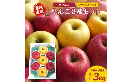 🔴目にも鮮やかなりんご２品種詰め合わせ🟡