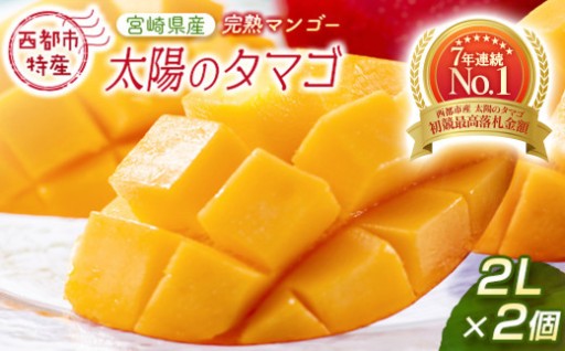 最高級ブランド『太陽のタマゴ』【糖度15度以上】