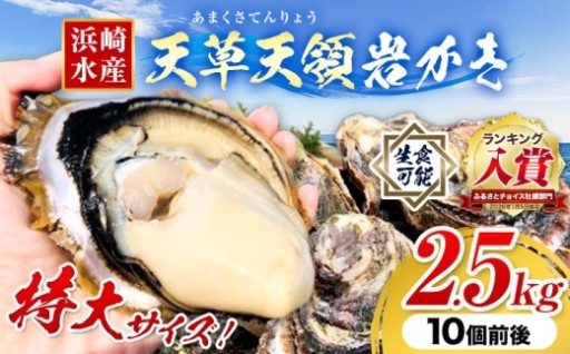 【先行予約受付中】海のチーズ！濃厚ぷりぷり食感の岩牡蠣をご家庭で！