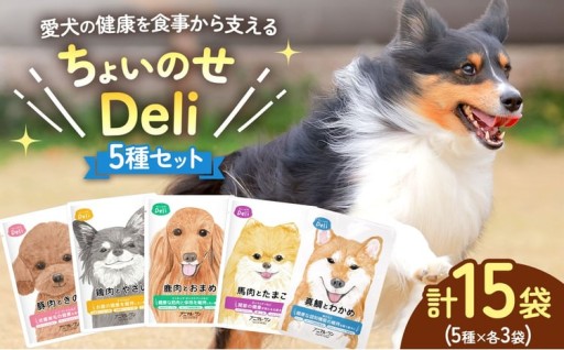 ちょいのせDeli 5種 × 各3袋 セット