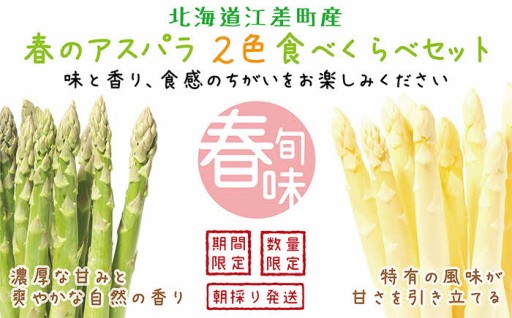 早期予約・数量限定「緑と白のアスパラ」