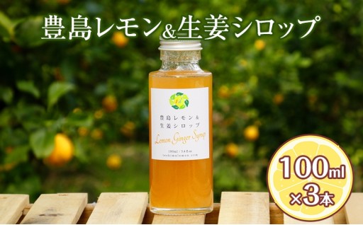 豊島レモン＆生姜シロップ 100ml×3本