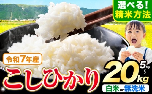 ツヤと粘り！熊本の清流と太陽が育てたこしひかり