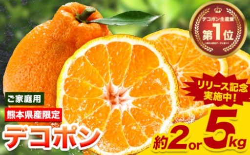 旬到来！期間限定の熊本産訳あり デコポン 5kg・10kg 