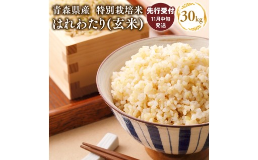 ≪令和8年産 先行予約≫はれわたり 玄米30kg