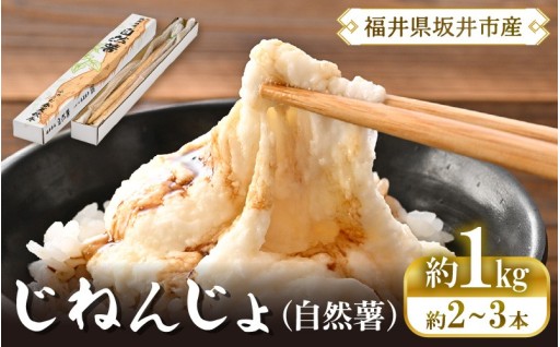 【農家直送】粘りが強い！濃厚な風味と旨み！自然薯