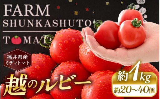 【超濃厚】限界まで完熟させてから収穫！農家直送🍅