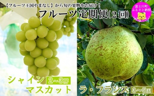 【フルーツ定期便（２回）】 シャインマスカット ～ 1kg以上（2-3房）＆ラ・フランス（３-５玉）