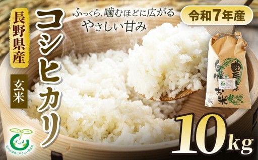 コシヒカリ 玄米 約10kg