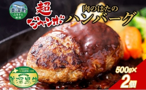 美深町肉のはたのハンバーグ 2個（500g×2）