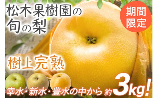 【🔔先行予約受付中🔔】松木果樹園の旬の梨 約3kg 🍐≪7月下旬～9月上旬に順次出荷予定≫
