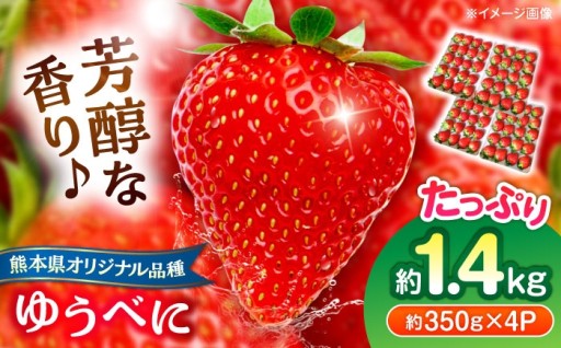 熊本県が10年かけて研究・開発したオリジナル品種