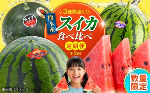 毎月すいかが届く！小玉・大玉の3種を贅沢食べ比べ！